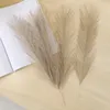 Decorative Flowers 10pc 14in Pampas Grass Artificial Faux Reed Feather Fake Flower DIY Accessories Boho Home Room Wedding Floral Decoration