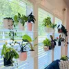 Piante personalizzate in transpAent piante acriliche succulente scaffale succulente pentola da fiore da giardino per finestra soggiorno camera da letto