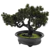 Fiori decorativi simulato bonsai finta mini erba in pentola da scrivania modellino albero piccoli piante realistiche tavolo da ufficio artificiale