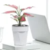 Vases Succulent Plant Hydroponic Plastic Vase Propagation Terrarium For Living Room Bedroom Study