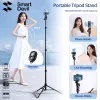 Lights SmartDevil 10"Mobile Phone Flashes & Selfie Lights Tripod Stand And Phone Holder For TikTok YouTube Make Up Live Stream