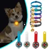 Hundekragen Anti -Verlust -Anhänger wasserdichte Sicherheit LED Blitzleuchte USB wiederaufladbare LED -Licht Anhänger für Hunde Katzen Haustiere Werkzeug