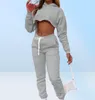 Women039s Two Piece Pants Fall Pink Sweatsuits For Women Hoodie Sweatshirt Crop Top Joggers Sweatpants Set Casual Tracksuits Wh7704188