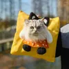 Porteurs de chats un sac à main pour animaux de compagnie en toile d'épaule peut être exposé sac à tête extérieur