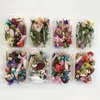 Fiori decorativi creativi fiore disidratato inodore inodotto mazzo multicolore sigillato per gioielli in resina