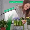 Grow Lights Kebincled USB 5V Lampe complète Spectrum avec contrôle Fitolamp Home intérieur Flower Seeling Clip Phyto