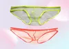 Underpants Full Transparent Men Underwear Briefs Gauze Male Viscose Panties Sexy Lingerie See Through Cueca Gay Plus Size Slips Ho2198124