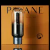 Amplificateur PSVANE Tube ACME 211 Paire d'usine d'usine d'origine pour l'amplificateur audio High End Amplificateur