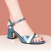 Kledingschoenen zomer 2024 open teen sandalen voor dames dames dikke hak hoge hakken schoenen chic en elegant dagelijkse h anti slip casual