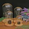 Przezroczystą kopułę z drewnianą podstawą na stole wyświetlacza szklana okładka sucha ozdoby z kwiatem Corm Craft Bell Jar Terrarium Wazon krajobrazowy