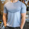 T-shirty letnia odzież na siłowni Muscle Fitness Ubranie Krótki szuka