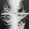2m Autruche Feather Boa Châle Trim pour robes Joutes Vêtements ACCESSOIRES DE COURS