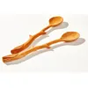 Coffee Scoops Creative Design Signring Spoon Branch Forme Long Handle Scoop Scoop Style Style Beech cuillères de haute qualité