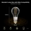 Smart Home Tuya Wi -Fi Controle remoto estilo vintage Filamento Smart Bulb Controle de voz Lâmpada LED LED E27 Luz de economia de energia Novo