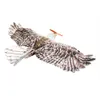Dancing Wings Hobby E15 Foam RC Airplane Epp Biomimetic Mini Eagle 1200mm Electric Flying Wing Radio Control Aircraft