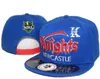 Nyaste ankomst mode NRL Snapback -hattar för Gorras Bones Mens Kvinnor Toppkvalitet Hip Hop Justerable Baseball Caps1470557