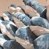 24inch Giant Shark Enterred Animal Toys Soft Shark Toys Big Shark Planchés pour enfants