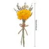 Gedroogde bloemen Een stel mini Natuurlijke gedroogde bloemen Bouquet Bruiloft Tafel Decoraties Valentijnsdag Gedroogde bloemen Geschenken Foto Achtergrond