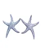 Seestarfish -Stil Ohrring Weiß Gold gefüllt 5A Clear Diamond CZ Engagement Hochzeit Ohrringe für Frauen Festival Geschenk8723942
