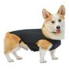 Hundkläder Back Bone Brace Vest IVDD Intervertebral Disc Disease Recovery and Rehabilitation Pet Pain Relief Sele