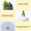 Humidifiers Ultrasonic Essential Oil Aroma Diffuser Plant Air Humidifier Aromatherapy Humidifier Waterless Auto Off for Home Office Car