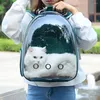 Porteurs de chats sac à épaules pour animaux de compagnie sacs de chats porteurs extérieurs voyage respirant transparent pour chaton de petits chiens