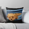 Pillow Remi Sleeping Throw Couch S decorativo para a sala de luxo da sala de estar