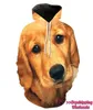 Sıradan Kadın Hoodies Golden Retriever Jumper Külot Özelleştirilmiş Uzun Kollu Üstler Gömlek Hoodie Drop 2019 Yeni 13821660