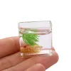 Dollhouse Miniature Glass Pish Tank Bowl Aquarium Doll House Home Ornement Toy for Dollhouse Decals