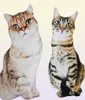 50 cm Lifeke Lifend Plux Cat Oreiller en peluche 3d Impression animale Cat Throw Oreiller Home Decoration Gift For Car People 2203047038526