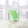 15 cm hängande transparent hängande glas fiskbehållare infusionsflaska akvariumblomman växt vas för hemdekoration akvariums313k