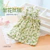 Cat Apparel Summer Slim Little Cute Short Kjol Princess Style Puppy Teddy Pet Dog Pet Clothes 240412