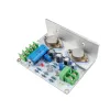 Amplificateurs DIY HIFI JLH 1969 Amplificateur Classe audio de puissance A amplificateur Board stéréo Haute qualité pour haut-parleurs complets de 38 pouces