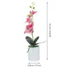 Декоративные цветы искусственные горшечные орхидеи на рабочем столе ложное искусственное поддельное моделирование Phalaenopsis