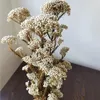 Fleurs décoratives 50g Cadeaux de fleurs séchées de millet naturel pour les femmes décorations de Noël 2024 Bouquet de mariage Bouquet Pampas