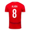 2024 Autriche Jerseys de football X.Schlager Sabitzer Alaba 2025 Shirts de football 24 25 Laimer Baumgartner Danso Seiwald Lienhart