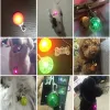 Collare per gatto a gatto luminoso a LED Luci di ciondolo a ciondolo flash Lights Piet Accessori Night Walking Pet Collar Forniture Accessori