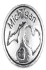 10pcllot 2017 Silver Michigan Snap Buttons 18 mm Charms Biżuter Snap dla srebrnej bransoletki Silver 9012906