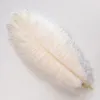 10Pcs Colored Ostrich Feather Wedding Party Decor Fluffy Natural Feathers 15-55CM DIY Crafts Table Vase Centerpiece Decoration