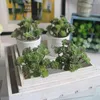 Dekorative Blumen künstlicher Pflanzengarten Hochzeitsbüro gefälschte saftige Simulation Blumen Wohnzimmer Wohnzimmer DIY Landschaft Bonsai Party