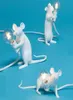 현대 미술 귀여운 흰색 블랙 골드 수지 동물 쥐 마우스 테이블 램프 조명 블랙 골드 동물 마우스 데스크 램프 키즈 039 선물 사랑 4102486