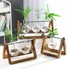 Vaser Växtglasvas med trälivtransparent terrarium retro bordsskiva Hydroponics bonsai hem dekoration