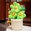 Sorriso personalizzato più nuovo girasole Green Green Plantato Tootted Toy Flower Tot Toy Polsh Flowers