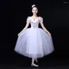 Roupas étnicas profissionais românticos tutu tule tulle tutus vestido de balé feminino bailarina festa de dança