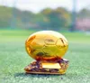 Vendendo il Ballon D039or Gold Trophy Resin Craftwork Golden Ball Award Trophy 26cm Fan Football Souvenir Cup Decoration7554690