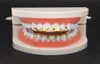 Hip Hop Gold Zähne Grillz Tropf 8 Zähne Grill Zahn Cosplay untere Zahnkappe Rapper Mund Schmuckparty Geschenk 4338305