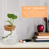 Vase2 PCS Eco Bottle Hydroponics Vase Planter Home Desktop花飾りテーブル庭の装飾植物テラリウムを飾る