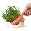 Cat Grass Planter Hydroponic Growing Kit Catnip Planter Soilles Fish Shape Planting Box with Mesh Tray for Home Cattery Pet Shop