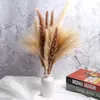 Dekoratif Çiçekler XD-60pcs Kurutulmuş Pampas Çim Dekor 17 İnç Doğal Çiçek/ Çiçek Aranmaları İçin Düğün