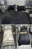 Conjunto de edredons de cama de designer de outono Conjunto de roupas de cama TENCEL DUVET SHEELS CONSELHOS DE CASTA DE 4PCS CAPTS HT17617051193
